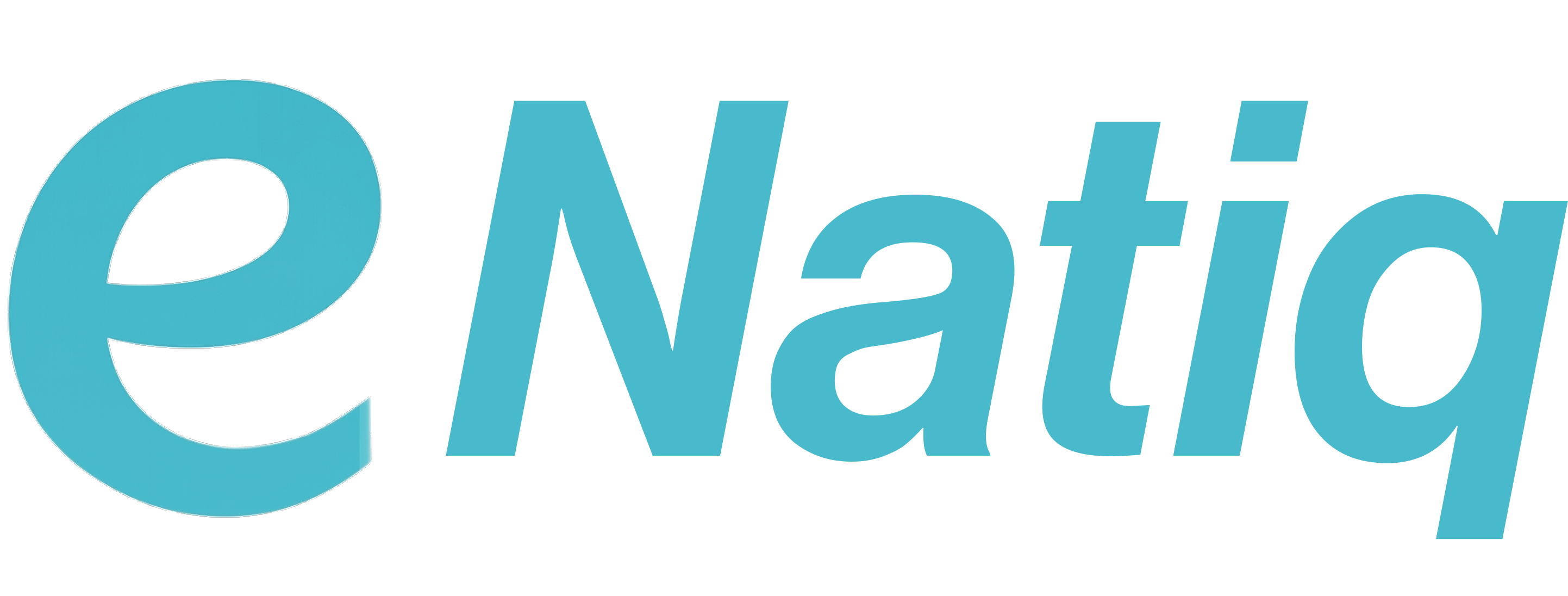 eNatiq logo
